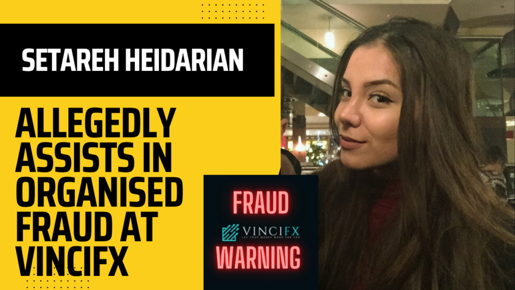 Setareh Heidarian Assisting Organised Fraud